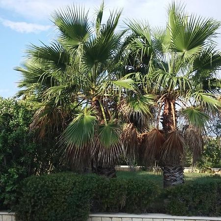 סוטיבאן Apartments On Gorana Pavlova 24 מראה חיצוני תמונה